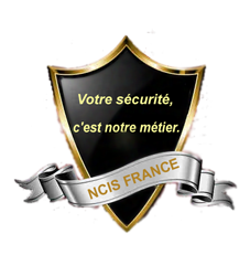 Logo NCIS France